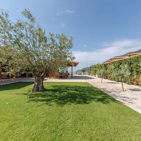 Seaside Resort Vasiliki